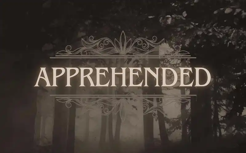 Apprehended: Mark Part 2