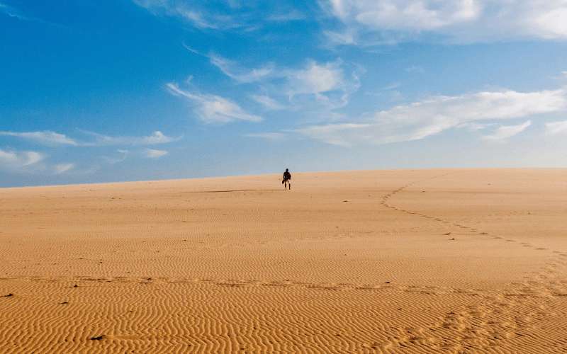 Building A Life In The Desert