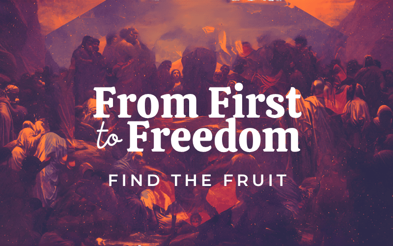 From First To Freedom – Find The Fruit